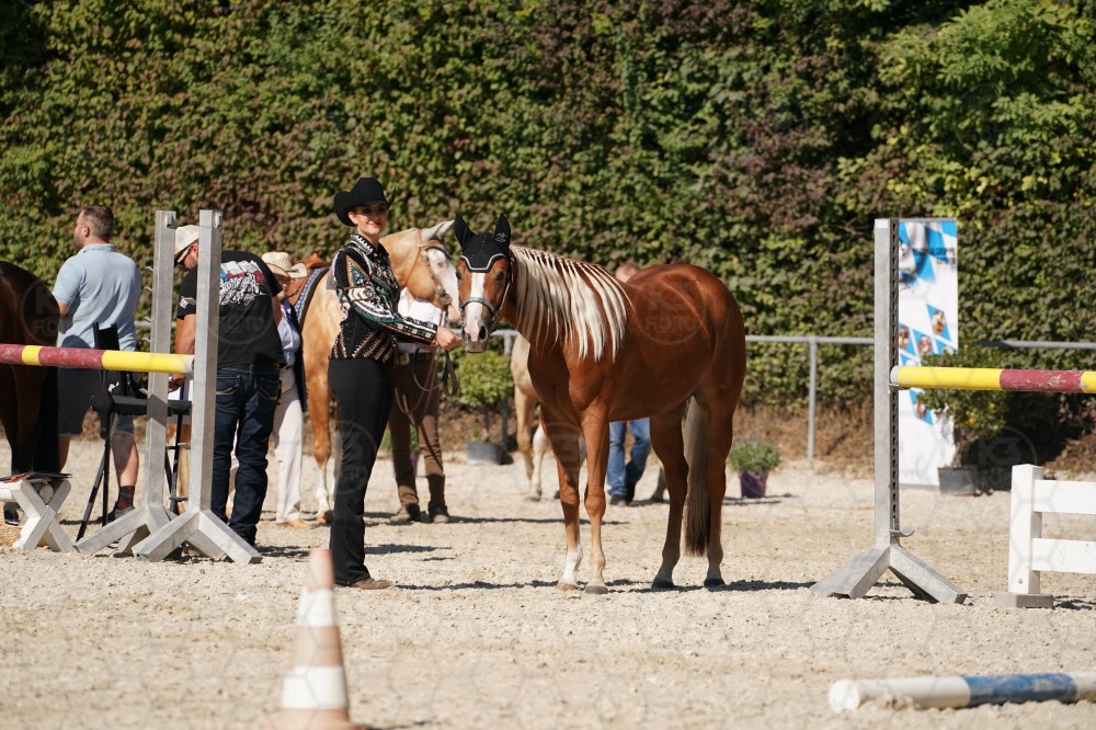 s_A_907582.JPG